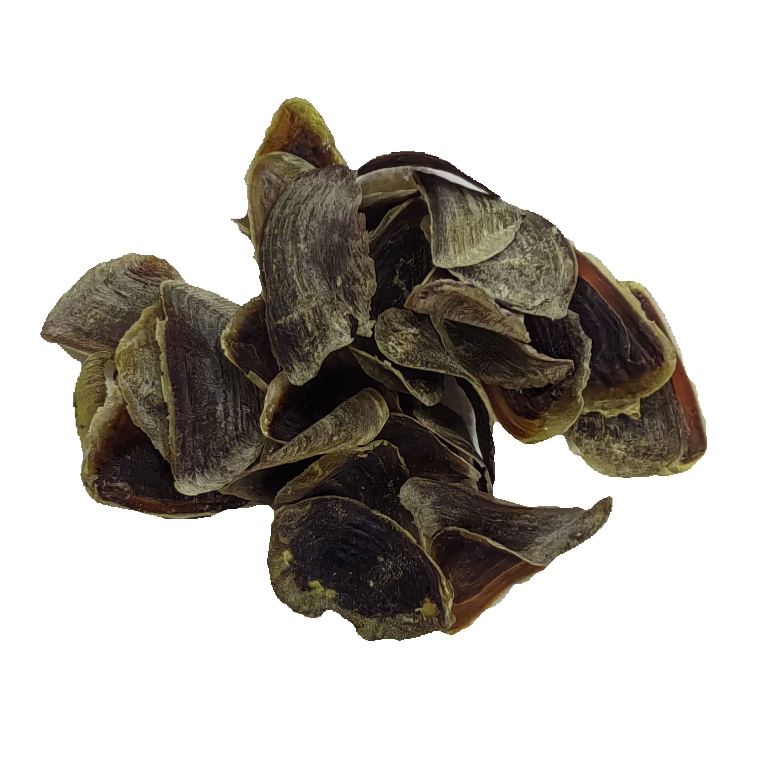 Onycha カタツムリ香殻乾燥生黒茶色貝殻ミュレックス蓋蓋作成香水 50 グラム