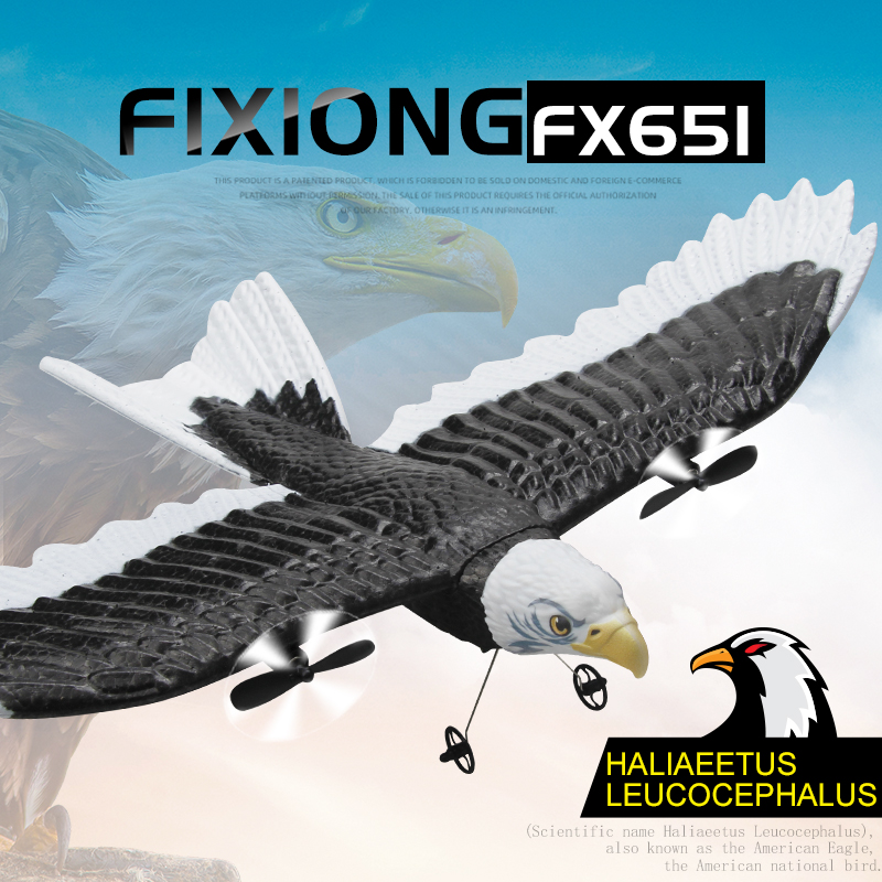 FX651 RC 飛行機イーグル飛行機全幅グライダー 2.4 グラムラジオリモコン航空機 EPP 発泡おもちゃ子供男の子のため