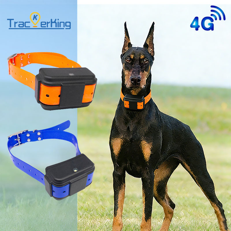 4G GPS トラッカー首輪 狩猟犬用 TrackerKing DK07 4500mAh 防水ペットトレーニング首輪 音声スピーカー付き