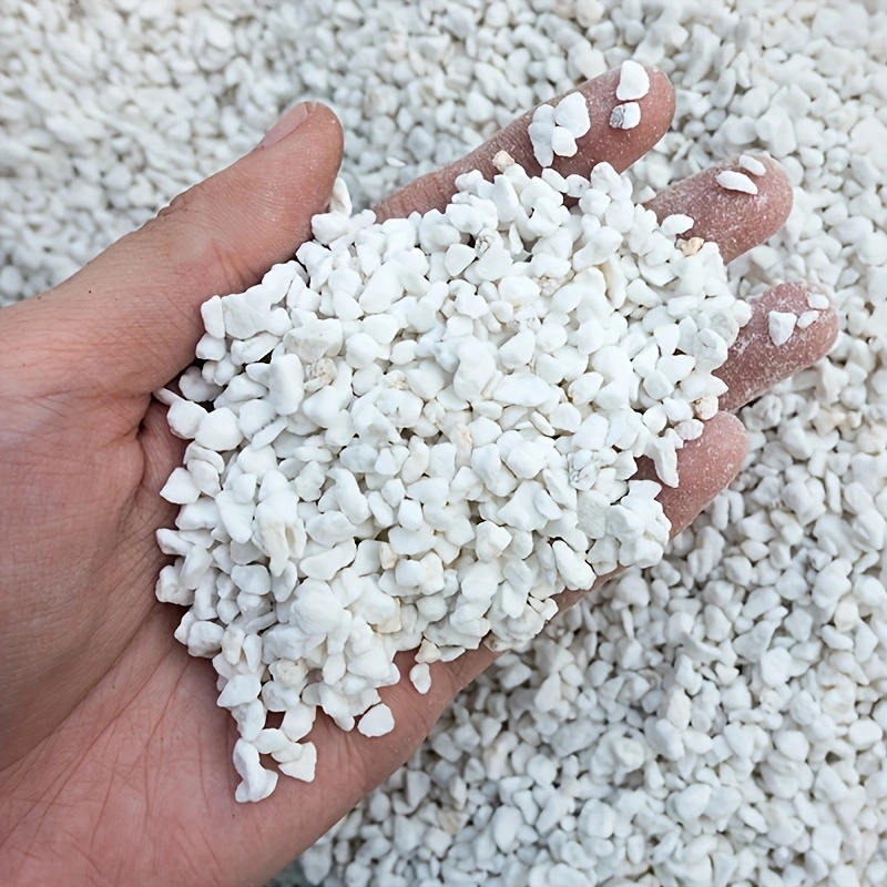 苗栽培、花の土、園芸拡張、保水、通気性土壌混合培地、2.5L 土壌強化剤用 3-6mm 園芸用パーライト 1 パック