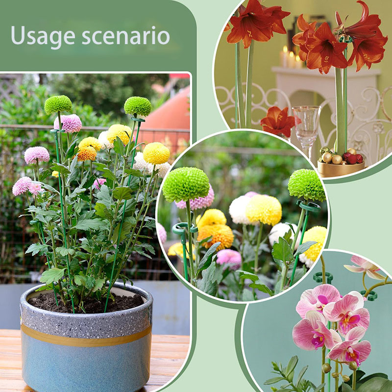 花成長ホルダーガーデンツールプラスチック植物サポートステークスフラワースタンドスティック再利用可能な保護固定ツール 50 個