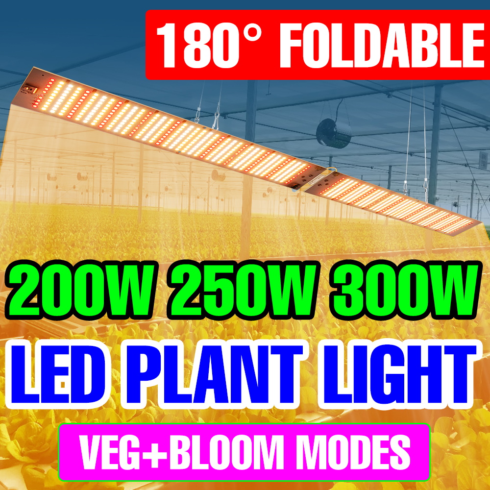 300 ワット LED 成長ライト AC100-277V フルスペクトル量子ボード温室テント屋内野菜果物植物用栽培ライト