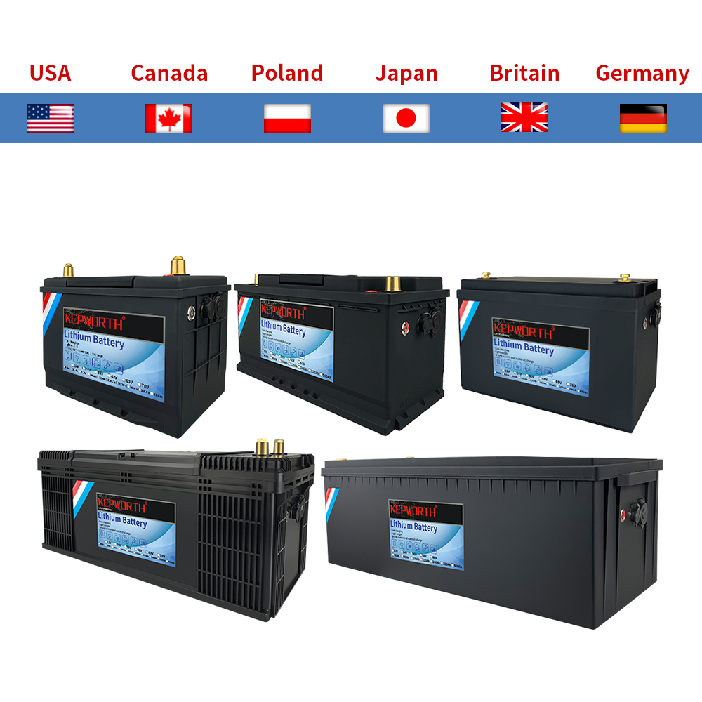 12V 24V 48V LiFePO4 リチウムリン酸鉄バッテリー BMS 50 100 120 135 180 230Ah 300Ah ゴルフカート RV 太陽エネルギー貯蔵
